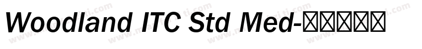 Woodland ITC Std Med字体转换